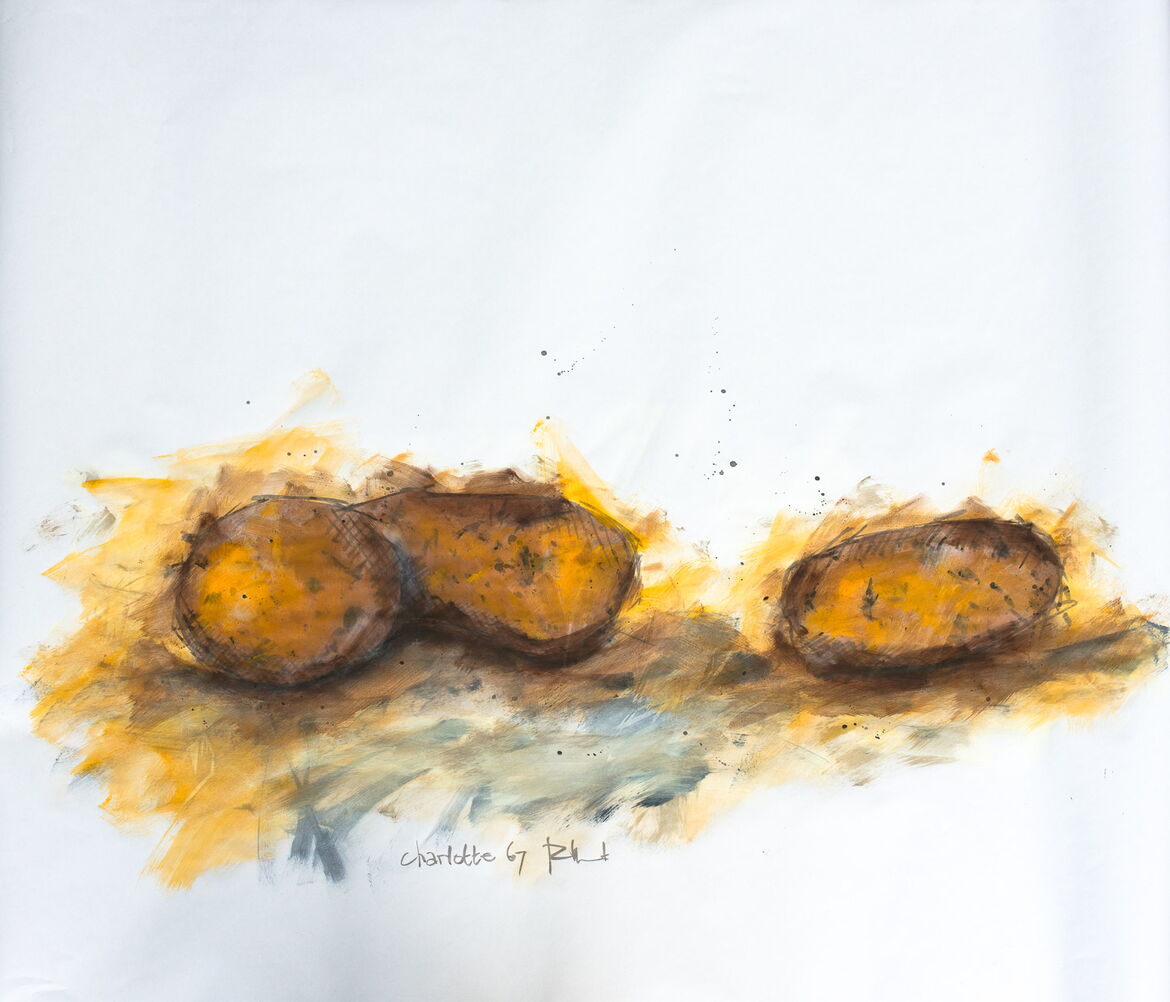 AARDAPPELPORTRETTEN |&nbsp;80x100cm |&nbsp;inkt, acryl, potlood op papier | €&nbsp;195,- per stuk