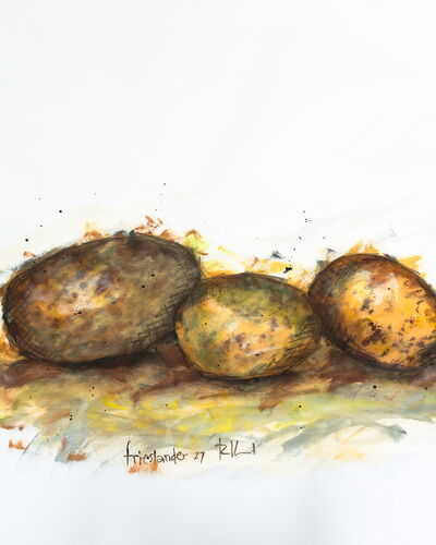 FRIESLANDER 27 | 80x100cm | inkt, acryl, potlood op papier | €195,-