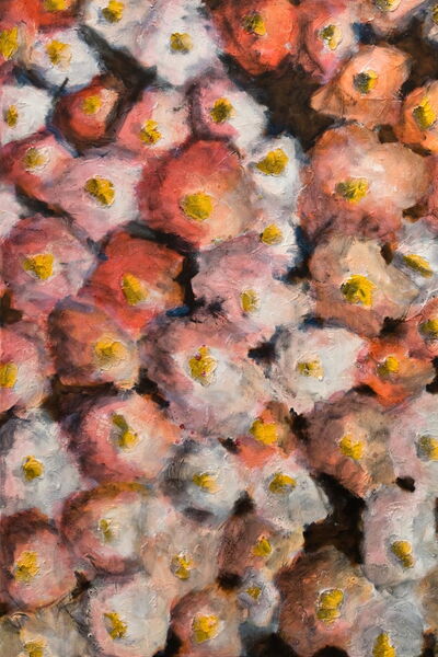 IK BEN GELUKKIG EN... | 3x 150X120cm | acryl en bloemblaadjes op linnen | €3.200,-